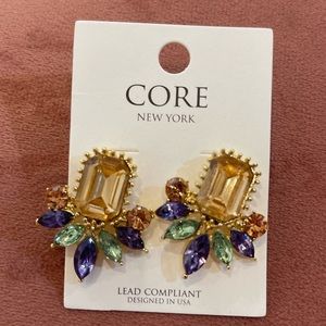 NWT never worn earring